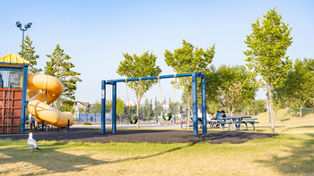 Nautical suites playground